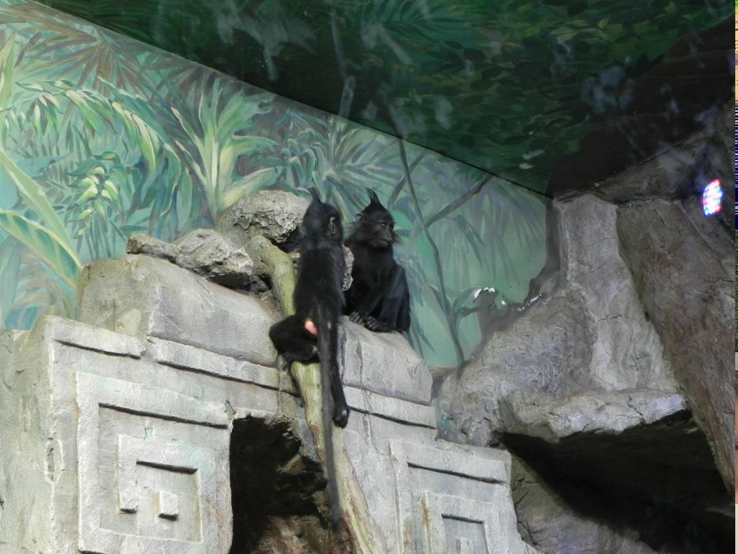 Игорь Вольщак | Тамбов