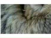 Юлия Экзархо | Мариуполь