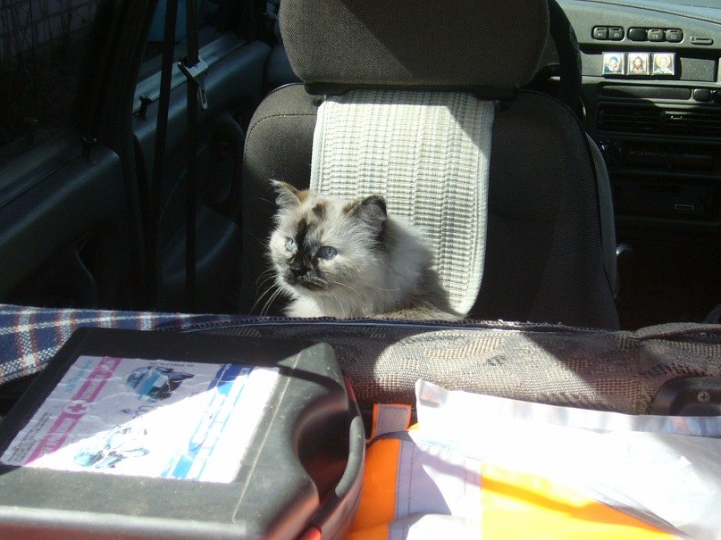 Наталья Викторова | Крестцы