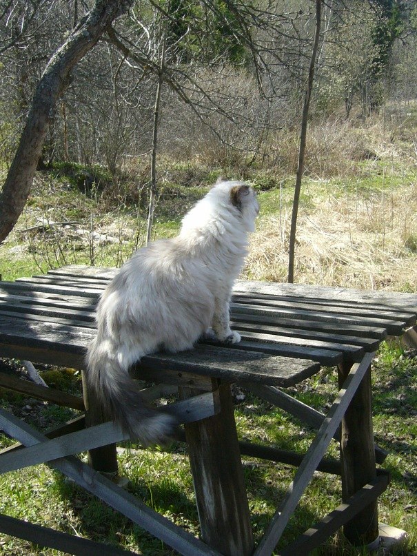 Наталья Викторова | Крестцы