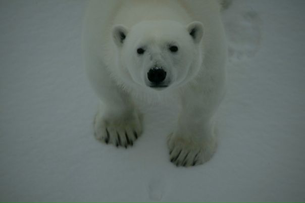 №19, Вячеслав Милхен №19, Вячеслав Милхен