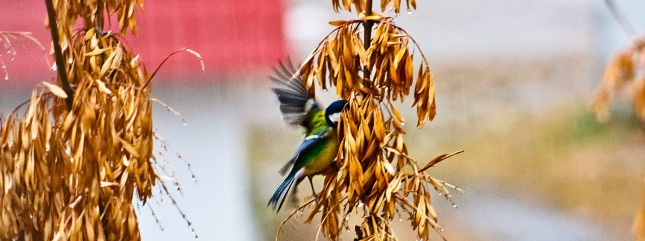 №31, Дмитрий Толкунов №31, Дмитрий Толкунов