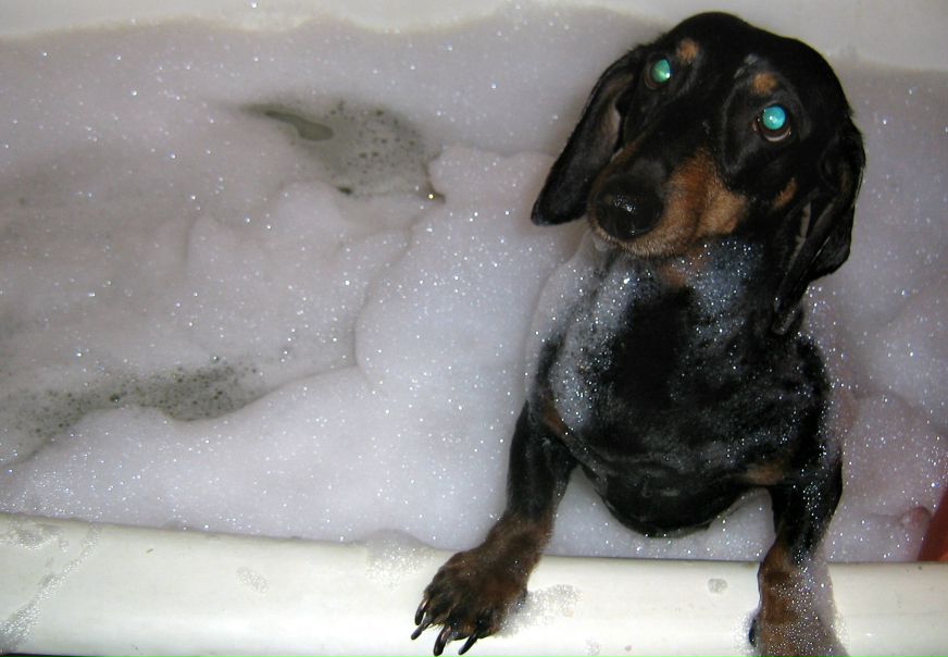 №26, Екатерина Гасанова, Сургут №26, Екатерина Гасанова, Сургут