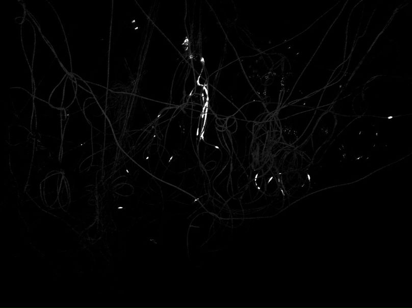 №102, Daria Khlebnikova, 31 год, Москва №102, Daria Khlebnikova, 31 год, Москва