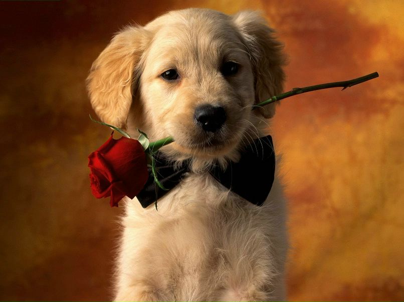 Anatoly Александров | 