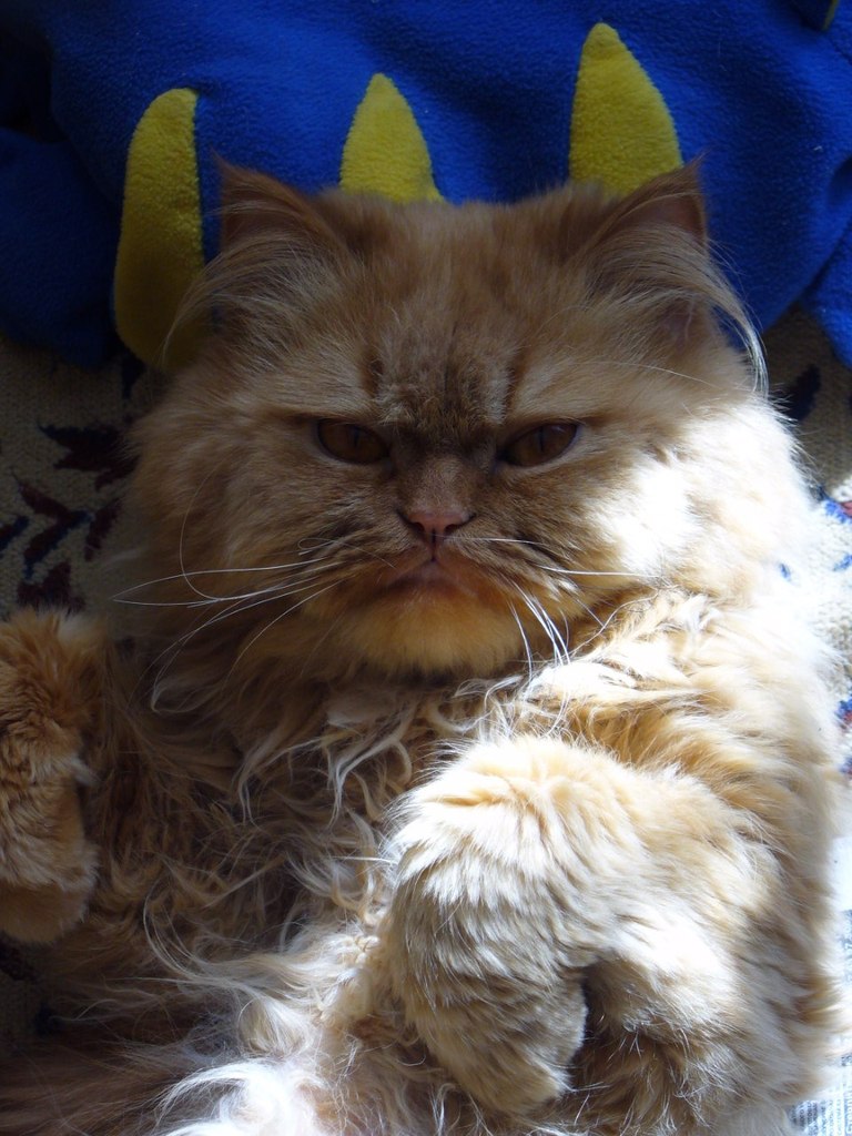 Лена Ласкова | Стерлитамак