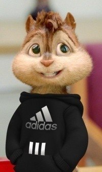 Рома Коленцев | Дмитров