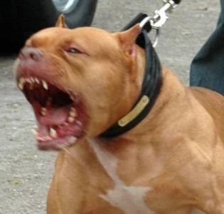 Негатив Slipknot | Псков