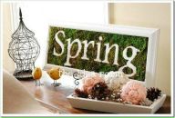 №32 Аня Червоняк 19.05: профиль, фото, статус - ВКонтакте