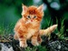 Лилия Билялова фотография #43