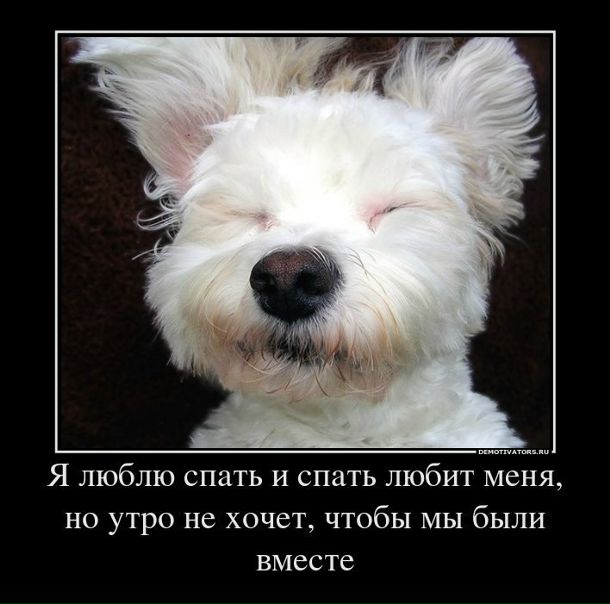 №5, Дмитрий Косарев, 71 год, Новосибирск №5, Дмитрий Косарев, 71 год, Новосибирск