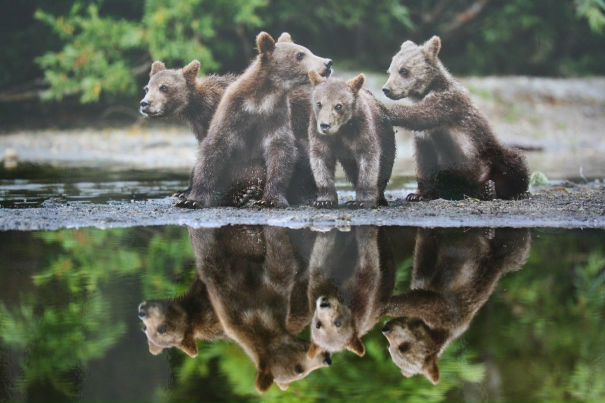 Ольга Лапшенкова | Москва