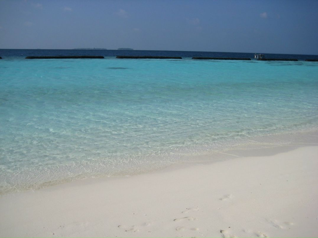 Анна Иконникова | Москва