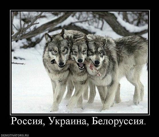 Роман Кроллау | Москва