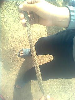 Илья Трофимов | Херсон