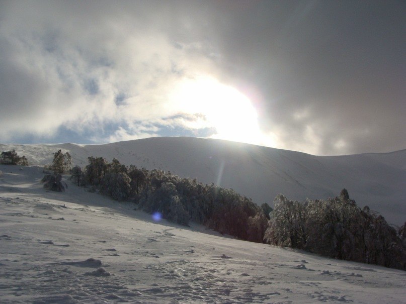 Артем Пинчук | Киев