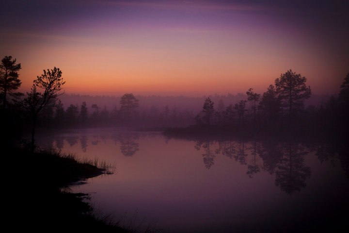 Ольга Лютова | Таллин