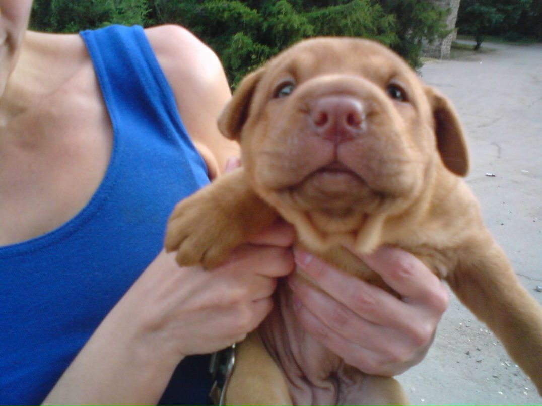 Dima Tarasov | Ростов-на-Дону