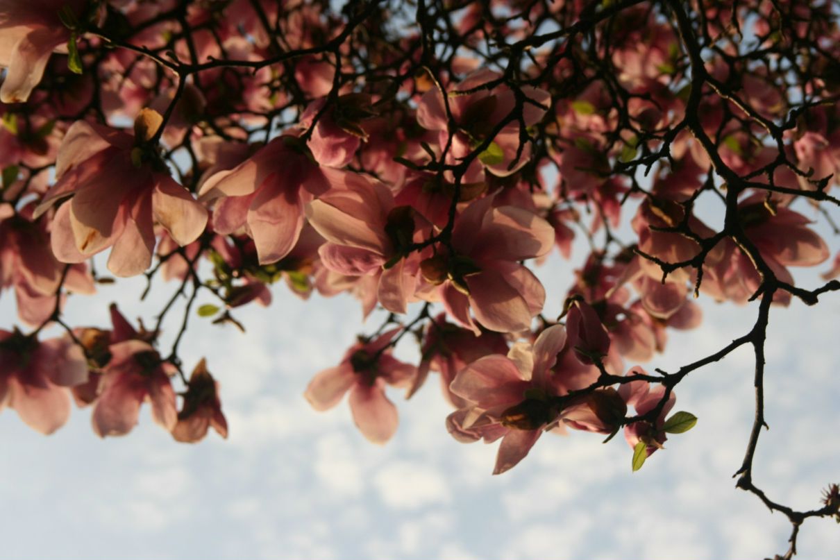 Оксана Бурдина | Москва