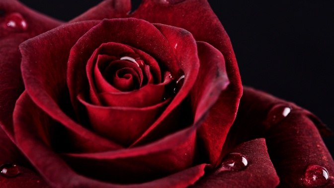 Инна Мауль | Москва