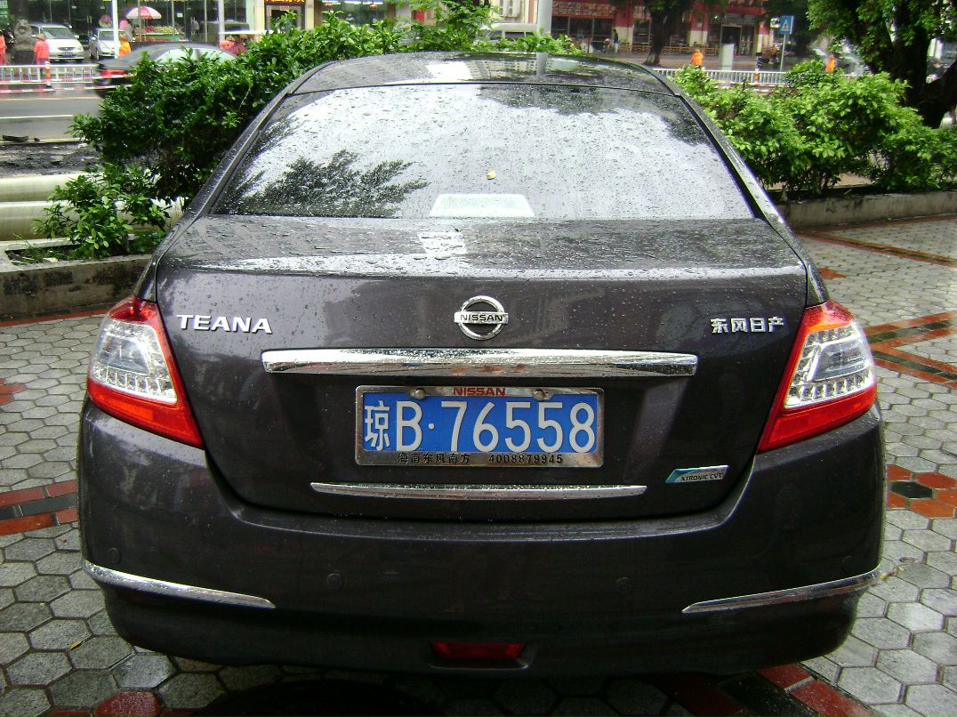 Дмитрий Долгобородов 