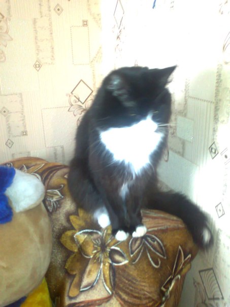 №89, Гюля Кобылина, Архангельск, Россия №89, Гюля Кобылина, Архангельск, Россия