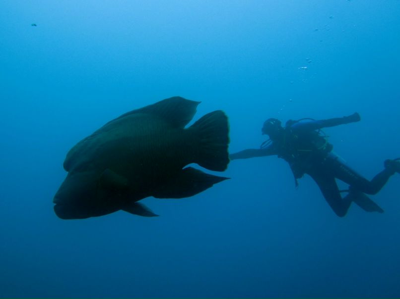 Юра Медведенко MEDVED | Санкт-Петербург