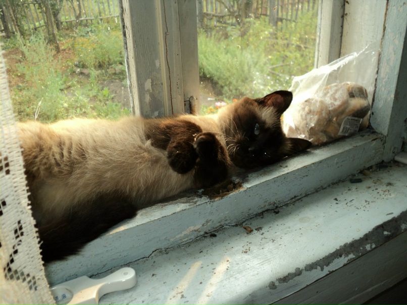 Наталья Киселёва | Москва