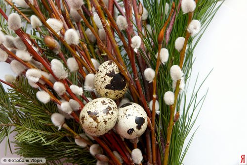 Светлана Быкова | Санкт-Петербург