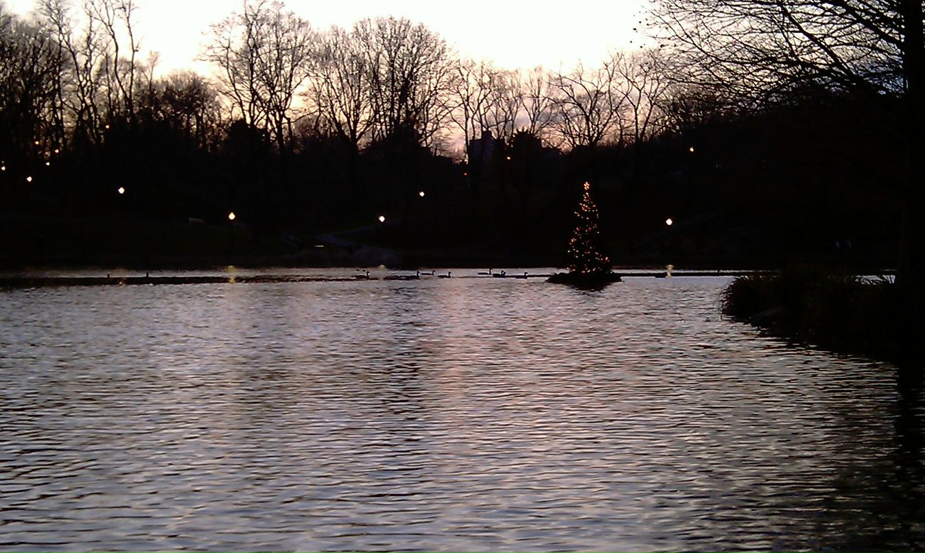 Макс Лупанов :))) | New York City