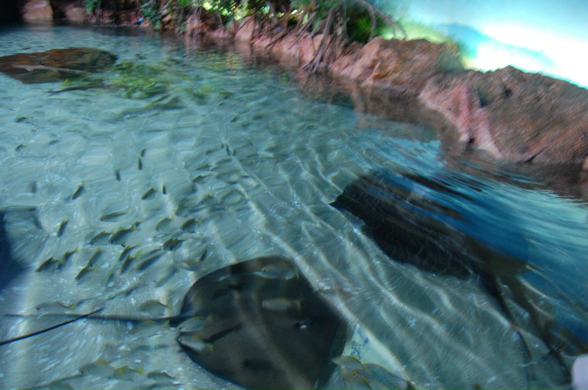 Егор Морозов FrEeMaN | Москва