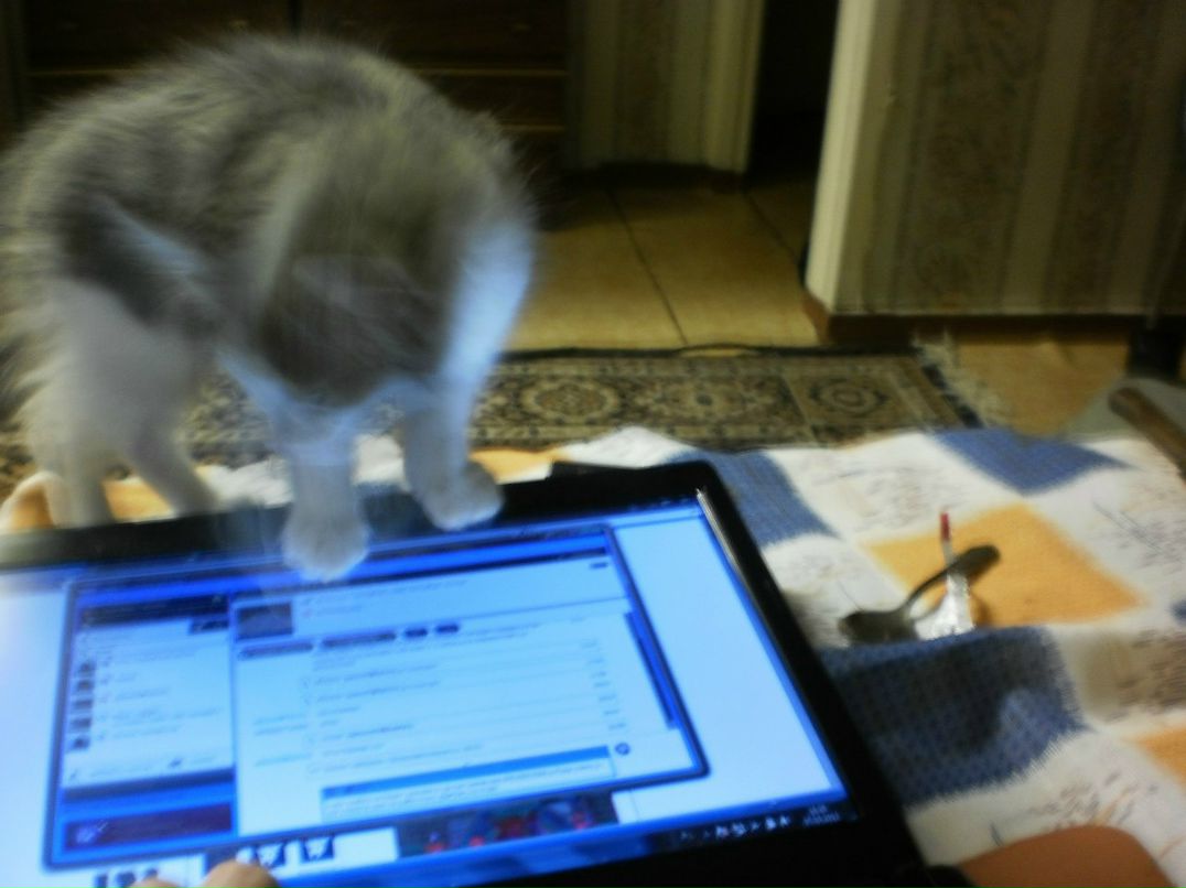 Зинаида Гусева | Макеевка