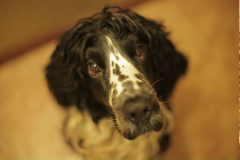 Михаил Пятигорский 13-й | Нижний Новгород