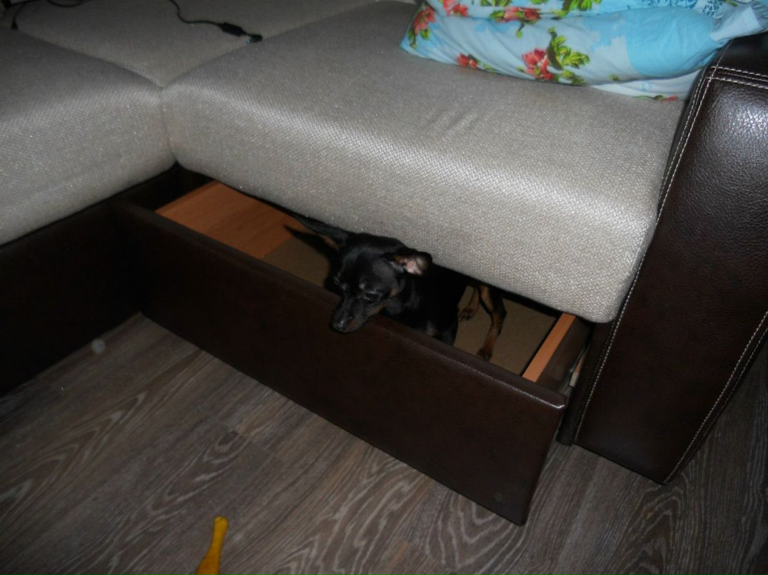 Margo Tixonova | Псков