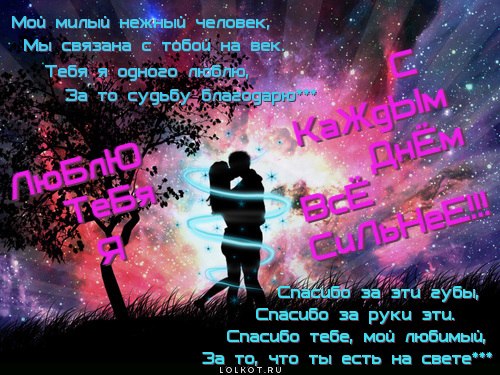 Елена Каширина | Тверь