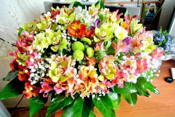 №41, Марина Хромченко, Харьков №41, Марина Хромченко, Харьков