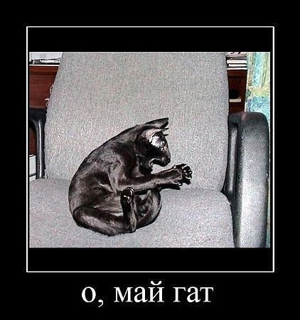 Евгения Пронина-Трифонова | Калининград