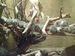 Варвара Руданова фотография #10 (источник - https://vk.com/id20104589)