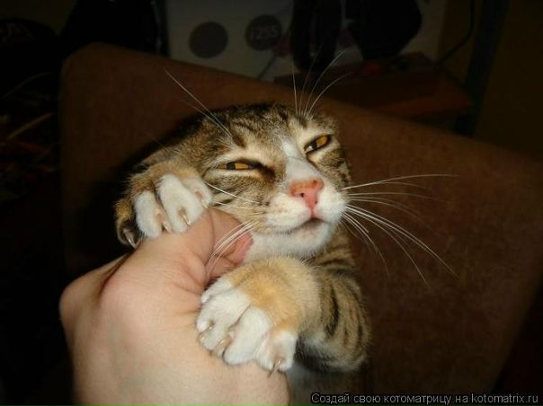 №98, Илья Хангиреев, Москва №98, Илья Хангиреев, Москва