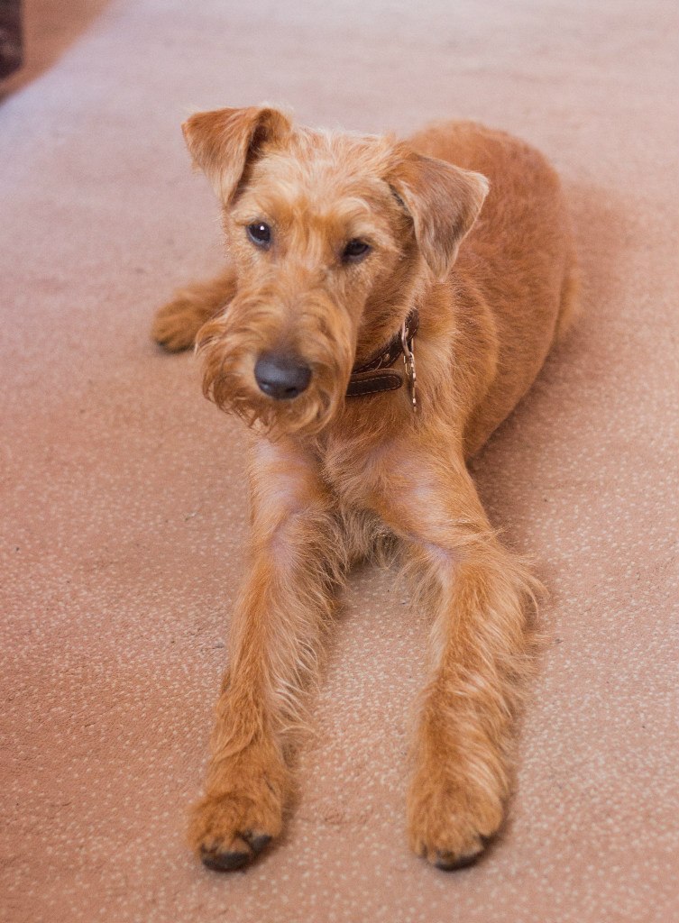 Наташа Гриднева | Челябинск