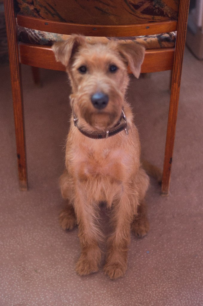 Наташа Гриднева | Челябинск