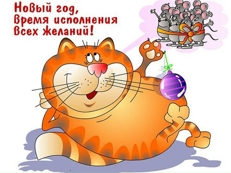 №23, Татьяна Архипова №23, Татьяна Архипова