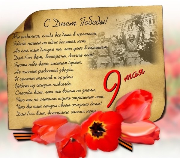 №28, Роман Новожилов №28, Роман Новожилов