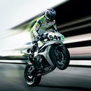 Александр Столяров steff | Дзержинский