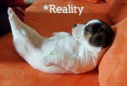 Олександра Осипенко | Киев