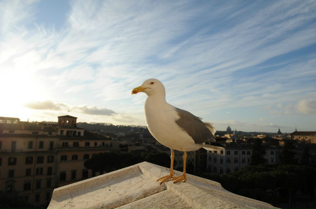 Марина Титова | Москва