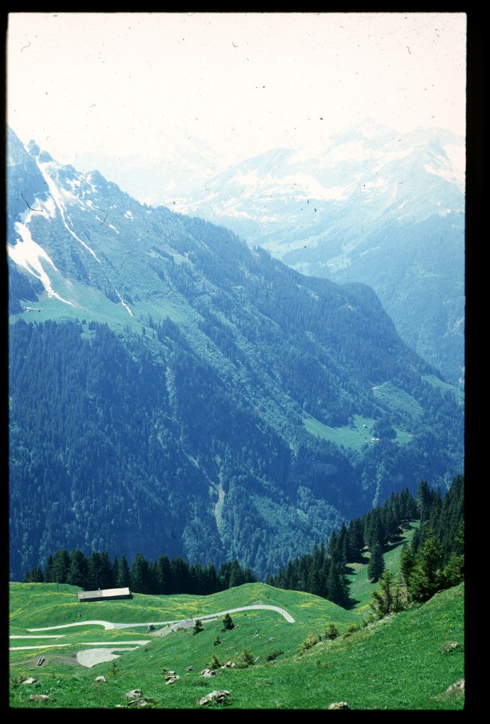 Роман Гейгерт | 