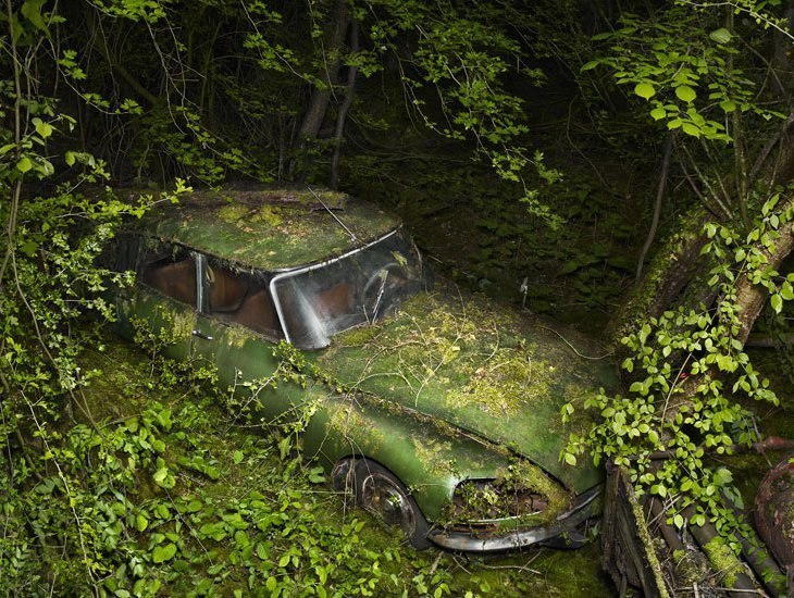 Константин Младший | Киев