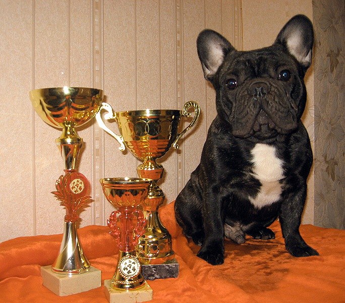 Светлана Шедько | Витебск