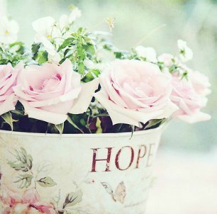 Влад Курносов | Минск